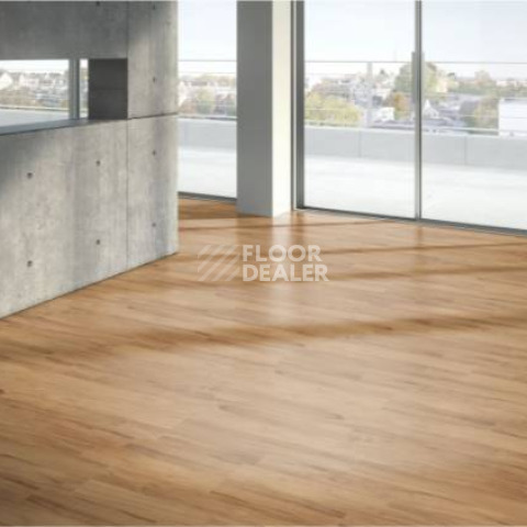 Parador Basic Plus 400 1426505 Яблоня Янтарная фото 2 | FLOORDEALER